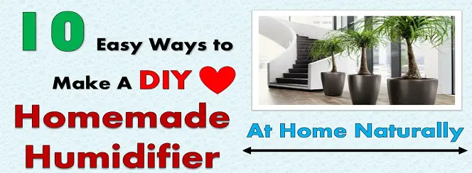 10 Easy Ways To Make A Diy Homemade Humidifier