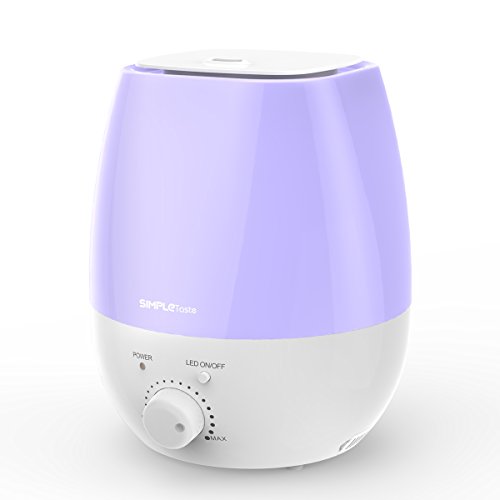 The 5 Best Humidifier for Dry Skin and Hair in 2024