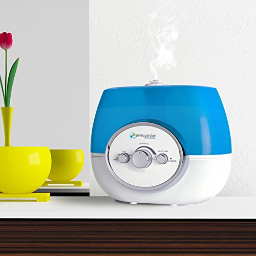 The 7 Best Large Room Humidifiers [2024 Updated]