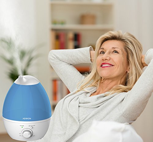 best portable humidifier for vocal singers