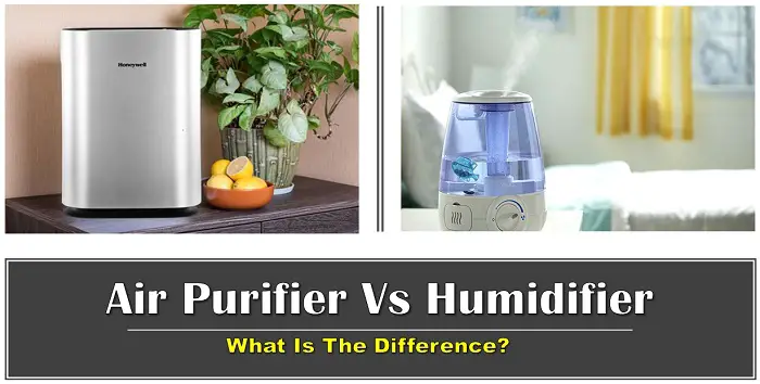 Humidifier Vs. Air Purifier What Is The Difference?