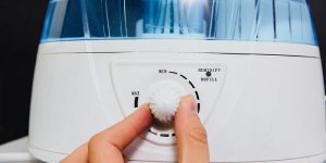 How To Use Your Cool Mist Humidifier Correctly?