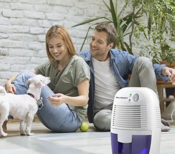 potable dehumidifier