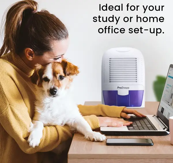 small dehumidifier for home office setup and study table